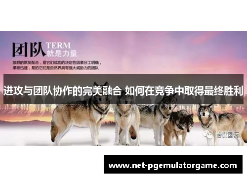 进攻与团队协作的完美融合 如何在竞争中取得最终胜利 进攻与团队协作的完美融合 如何在竞争中取得最终胜利