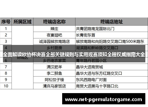 全面解读欧协杯决赛全部关键规则与实用观赛须知全程权威指南大全 全面解读欧协杯决赛全部关键规则与实用观赛须知全程权威指南大全