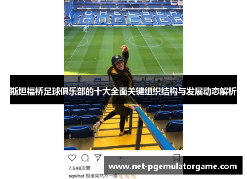 斯坦福桥足球俱乐部的十大全面关键组织结构与发展动态解析 斯坦福桥足球俱乐部的十大全面关键组织结构与发展动态解析